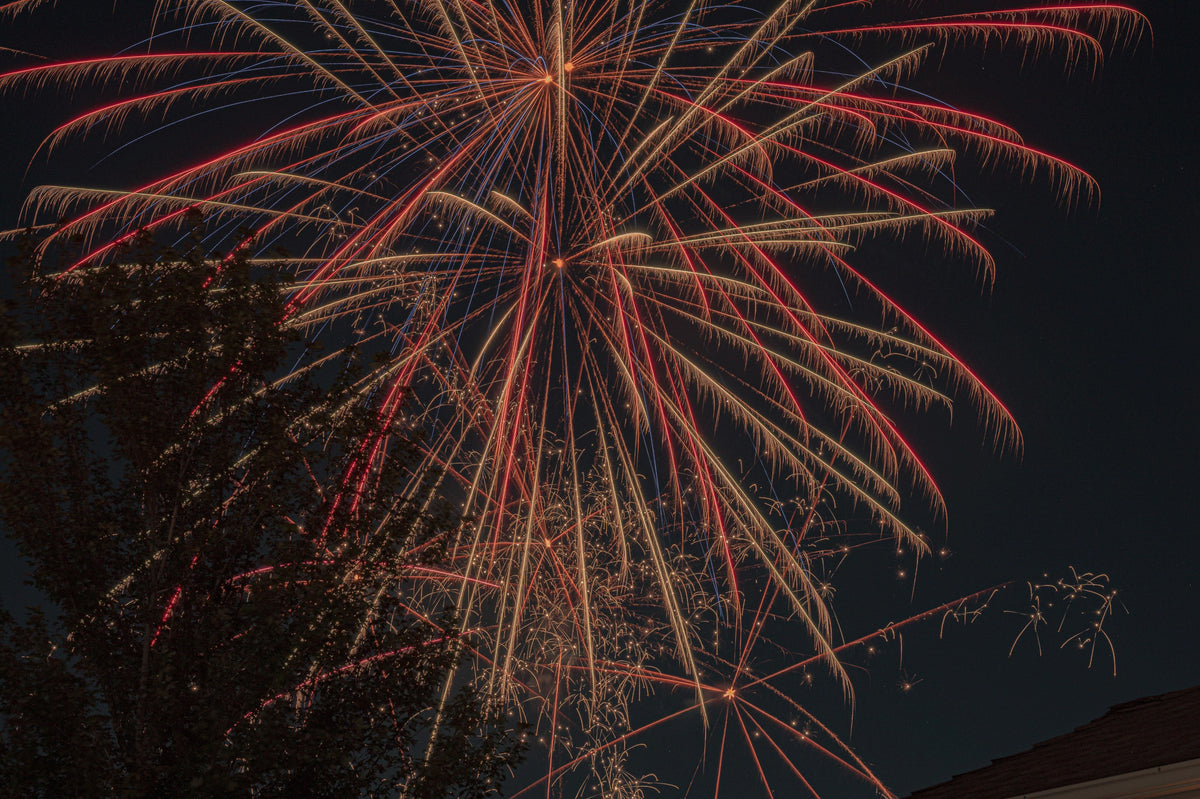9 Trashy Reactions to Fireworks (That Are OK on the 4th) | The Garbage Blog